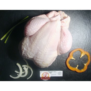 Poulet Des Volcans