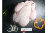 Poulet Des Volcans